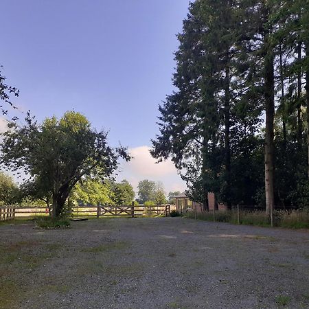 Les Gites Du Chateau De Maltot Saint-Ouen-du-Breuil Eksteriør bilde